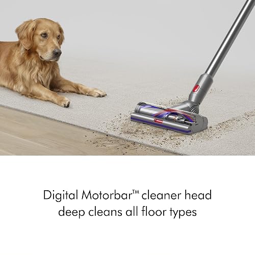 Dyson V15 Detect Cordless Vacuum Cleaner, Yellow/Nickel